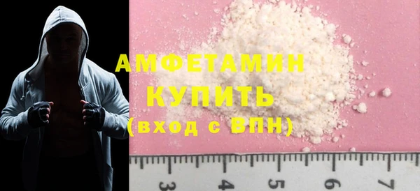 молекула духа Богданович