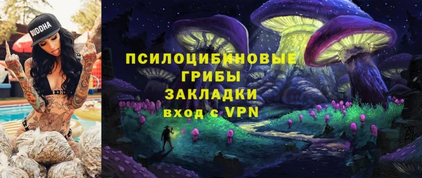ешки Богородицк