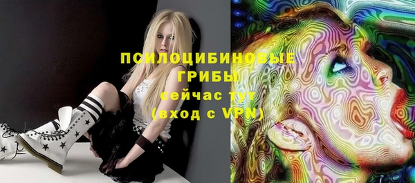 бутират Белокуриха