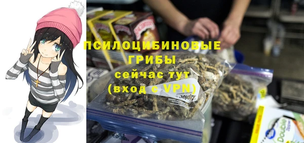 бутират Белокуриха