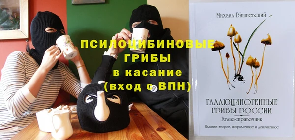 бутират Белокуриха
