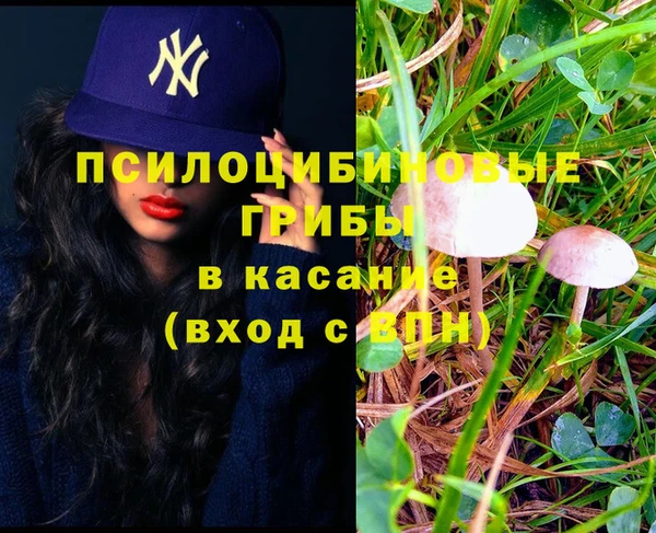 бошки Беломорск