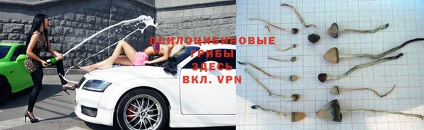 ECSTASY Белоозёрский