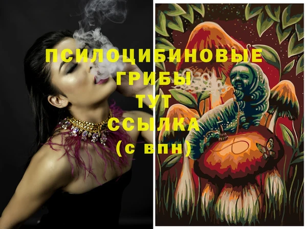 ешки Богородицк