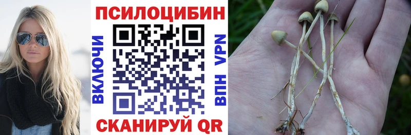 гидра рабочий сайт Белый Галлюциногенные грибы Psilocybe где купить наркоту